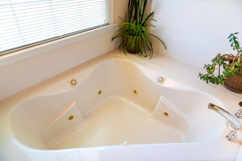 Specialized Bathtub Installers